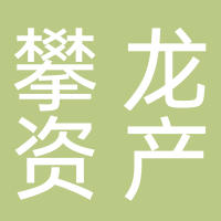 杭州攀龙资产管理有限公司
